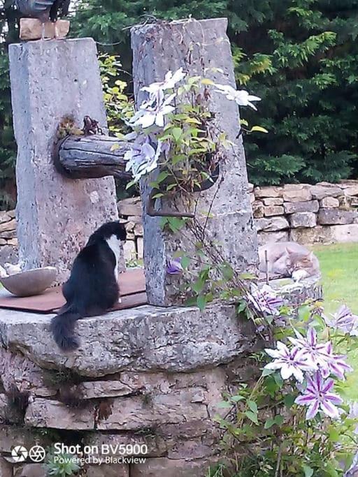 Dependance Pour 1 A 4 Pers Au Calme Dans Propriete Villa Marboz Bagian luar foto
