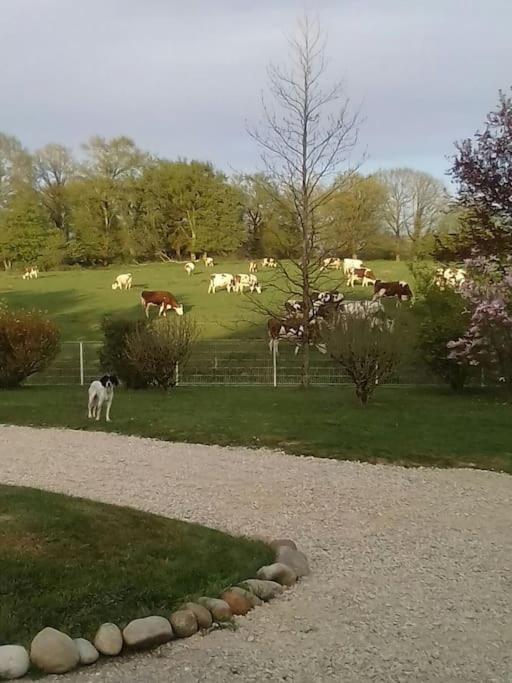 Dependance Pour 1 A 4 Pers Au Calme Dans Propriete Villa Marboz Bagian luar foto